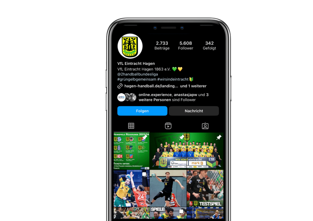 Social Media Auftritt Vfl Eintracht Hagen